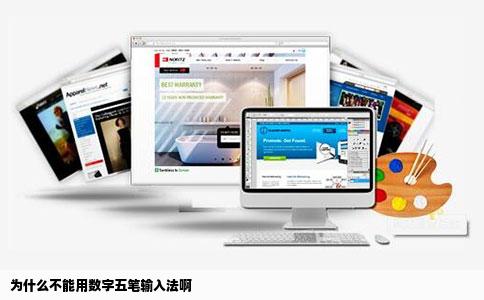 为什么不能用数字五笔输入法啊