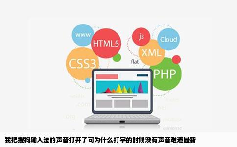 我把搜狗输入法的声音打开了可为什么打字的时候没有声音难道最新