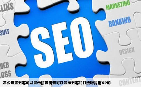 怎么设置五笔可以显示拼音拼音可以显示五笔的打法呀我用XP的