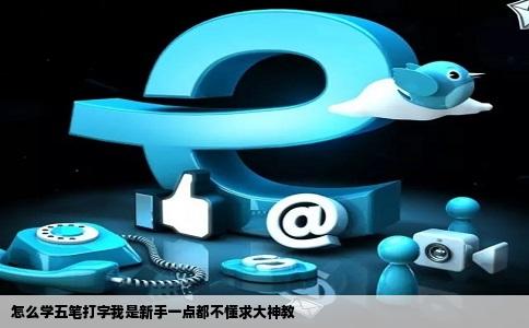 怎么学五笔打字我是新手一点都不懂求大神教