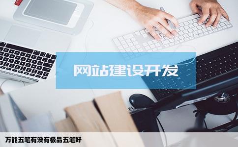 万能五笔有没有极品五笔好