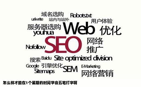 怎么样才能在1个星期的时间学会五笔打字啊