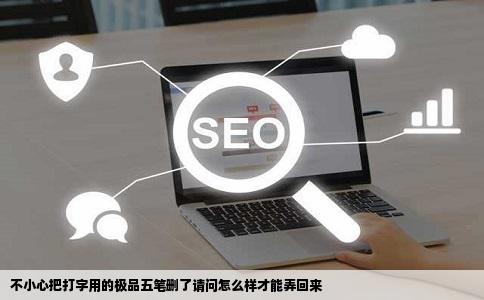 不小心把打字用的极品五笔删了请问怎么样才能弄回来