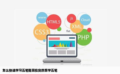 怎么快速学习五笔我现在突然想学五笔