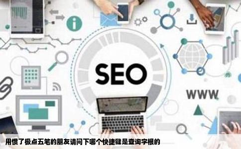 用惯了极点五笔的朋友请问下哪个快捷键是查询字根的