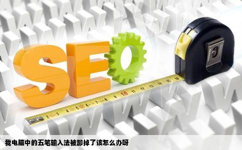 我电脑中的五笔输入法被卸掉了该怎么办呀