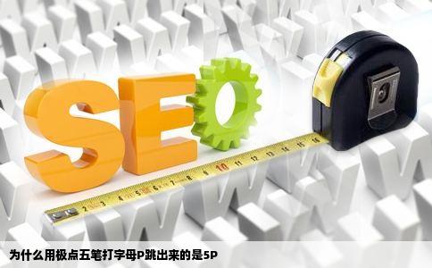 为什么用极点五笔打字母P跳出来的是5P
