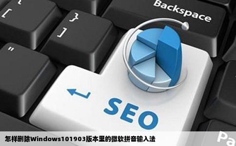 怎样删除Windows101903版本里的微软拼音输入法