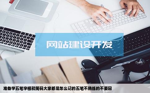 准备学五笔字根和简码大家都是怎么记的五笔不熟练的不要回