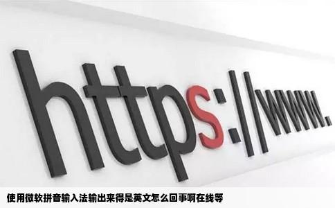 使用微软拼音输入法输出来得是英文怎么回事啊在线等