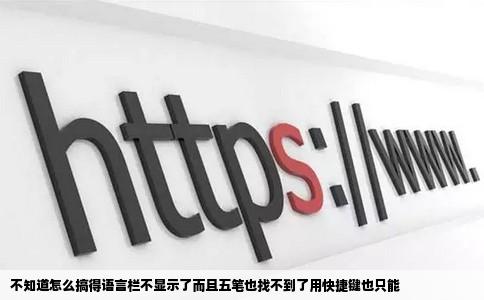 不知道怎么搞得语言栏不显示了而且五笔也找不到了用快捷键也只能
