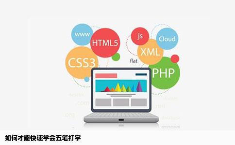 如何才能快速学会五笔打字