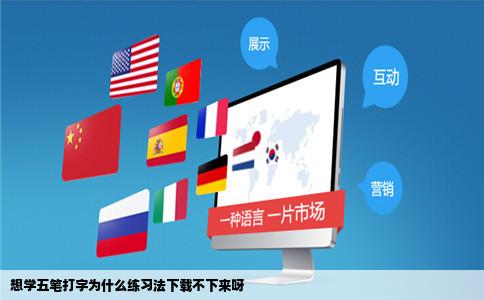 想学五笔打字为什么练习法下载不下来呀