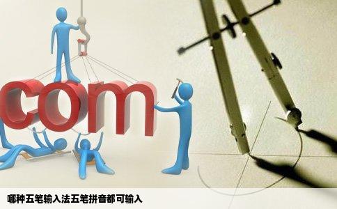 哪种五笔输入法五笔拼音都可输入