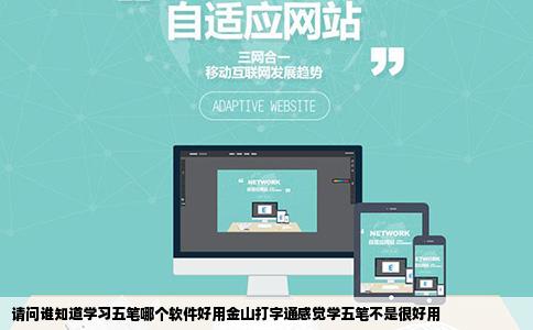 请问谁知道学习五笔哪个软件好用金山打字通感觉学五笔不是很好用