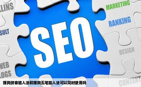 搜狗拼音输入法和搜狗五笔输入法可以同时使用吗