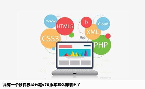 我有一个软件极品五笔v70版本怎么卸载不了