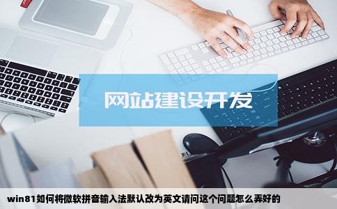 win81如何将微软拼音输入法默认改为英文请问这个问题怎么弄好的