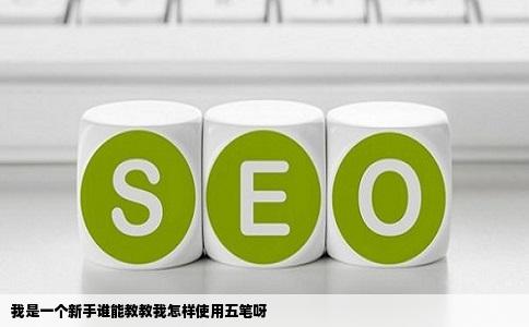 我是一个新手谁能教教我怎样使用五笔呀