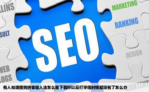 有人知道搜狗拼音输入法怎么我下载好以后打字得时候却没有了怎么办