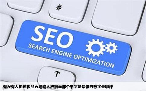 有没有人知道极品五笔输入法前面那个中字是繁体的极字是哪种