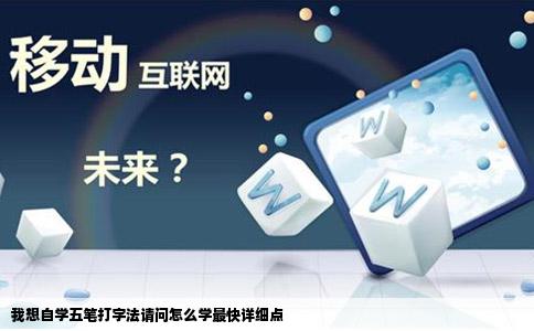 我想自学五笔打字法请问怎么学最快详细点