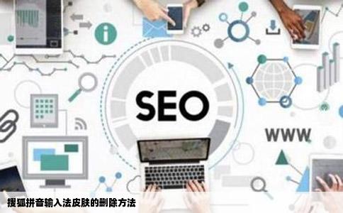 搜狐拼音输入法皮肤的删除方法