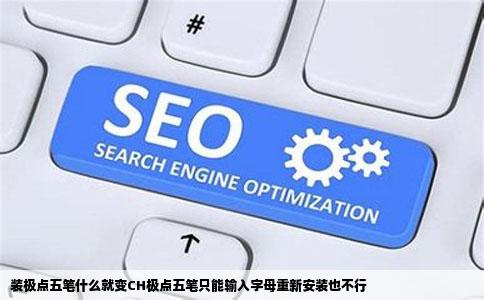 装极点五笔什么就变CH极点五笔只能输入字母重新安装也不行