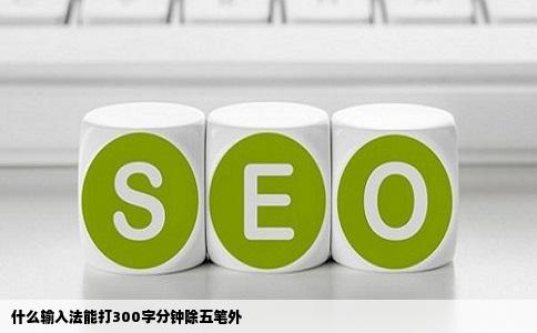 什么输入法能打300字分钟除五笔外