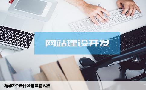 请问这个是什么拼音输入法