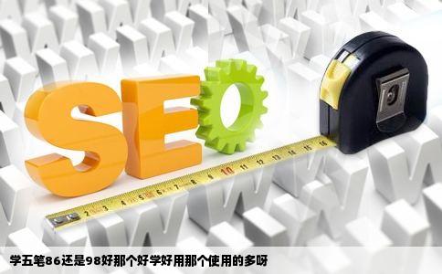 学五笔86还是98好那个好学好用那个使用的多呀