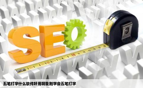 五笔打字什么软件好用啊我刚学会五笔打字