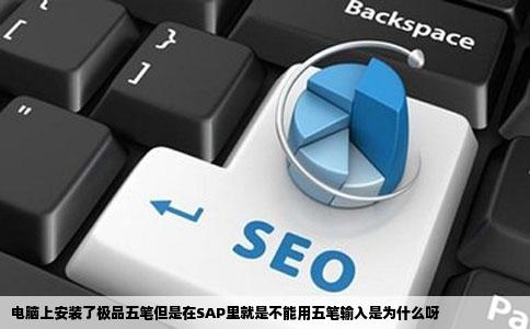 电脑上安装了极品五笔但是在SAP里就是不能用五笔输入是为什么呀