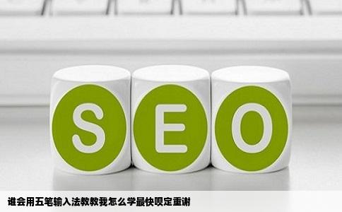 谁会用五笔输入法教教我怎么学最快呗定重谢