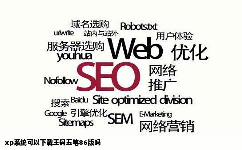 xp系统可以下载王码五笔86版吗