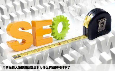 用紫光输入法使用软键盘时为什么有些符号打不了