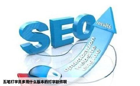 五笔打字员多用什么版本的打字软件啊