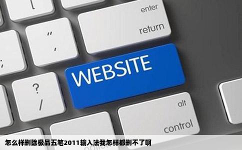 怎么样删除极品五笔2011输入法我怎样都删不了啊